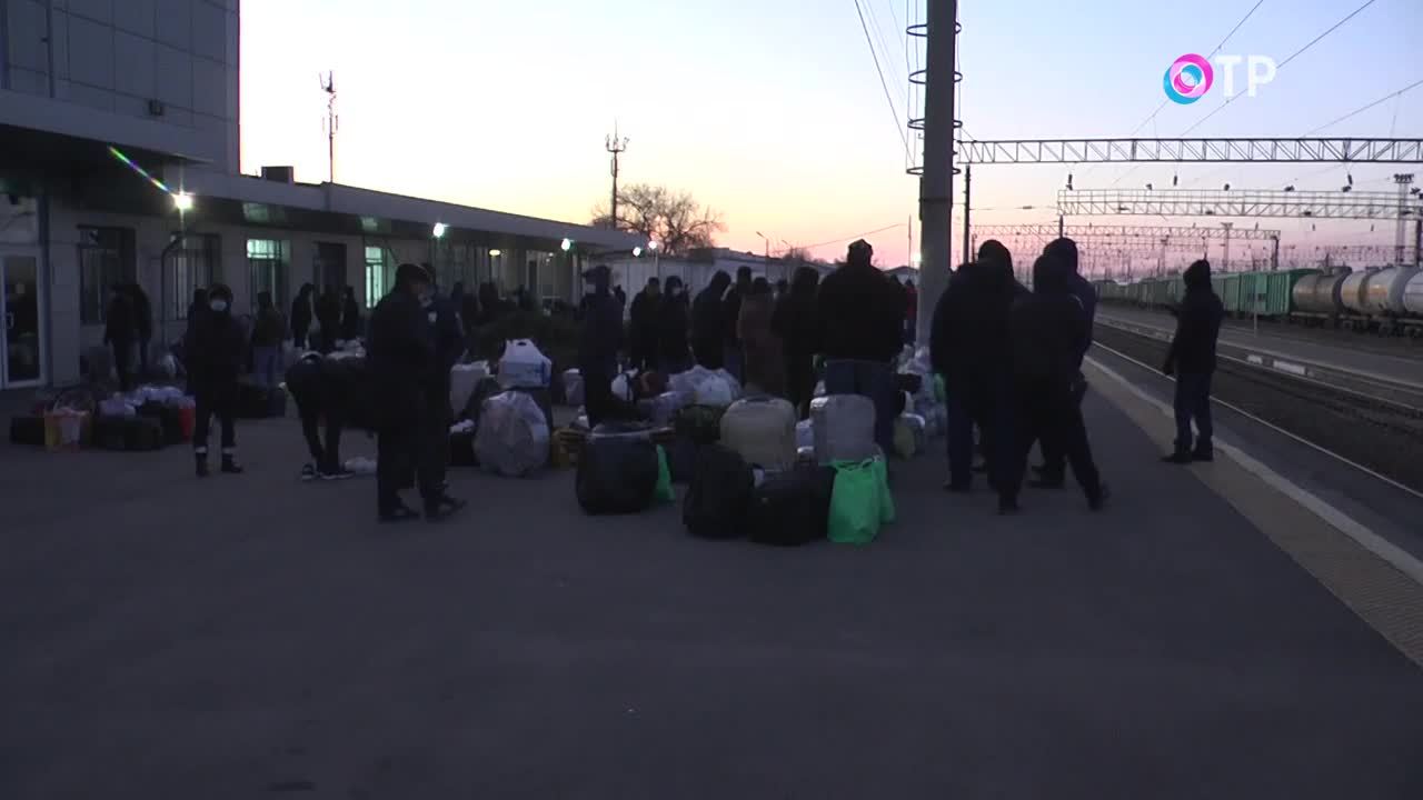 Мигранты в россии после теракта. Задохнулись мигранты мигранты в грузовике.